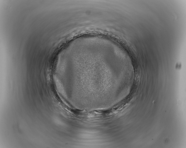 X0000089971490200707201959