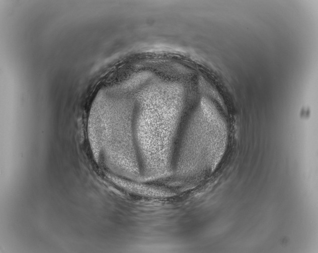 X0000089971493200707201959