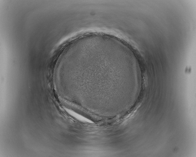 X0000089971494200707201959