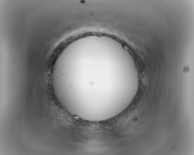 X0000089971495200707201959