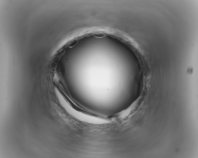 X0000089971496200707201959