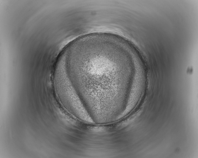 X0000089971497200707201959