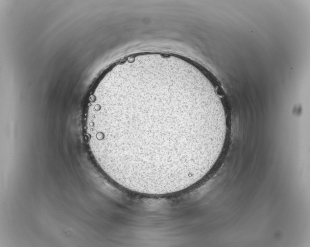 X0000089971498200707201959