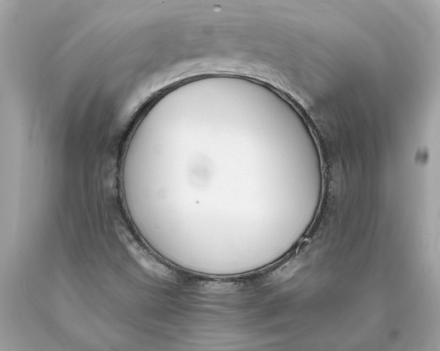 X0000089971499200707201959