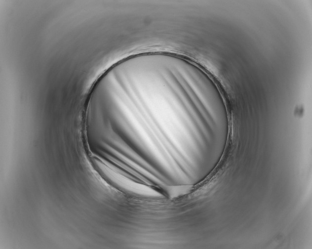 X0000089971500200707201959