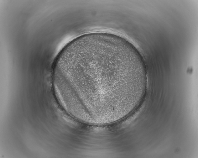 X0000089971501200707201959