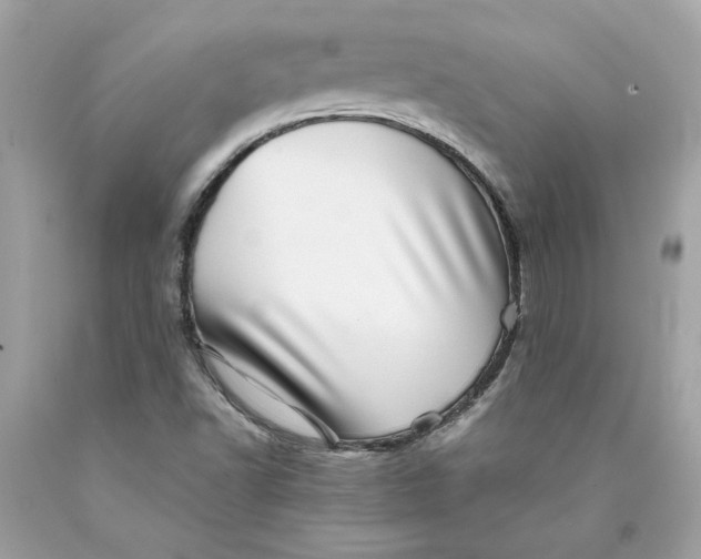 X0000089971502200707201959