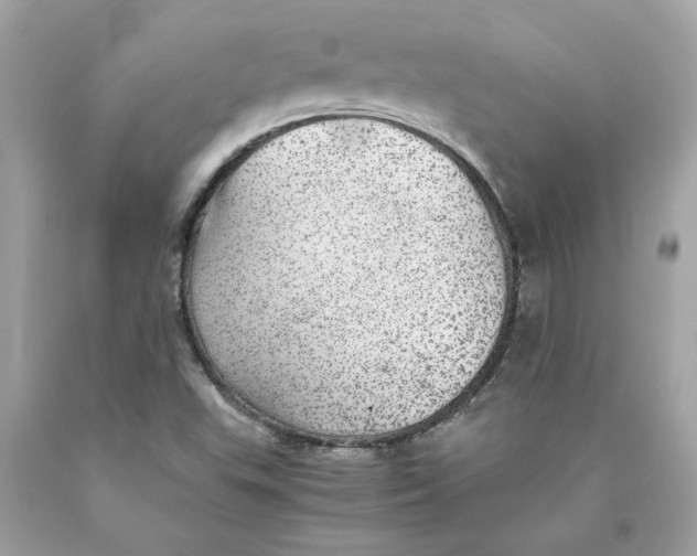 X0000089971503200707201959