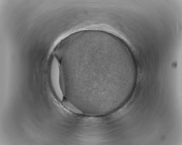 X0000089971506200707201959