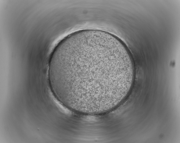 X0000089971507200707201959