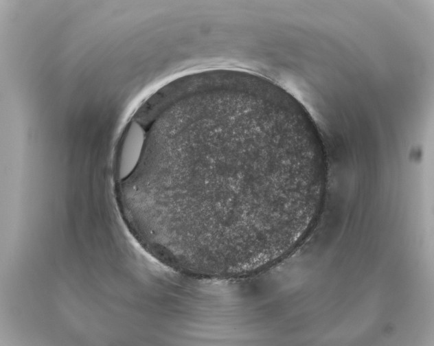 X0000089971508200707201959