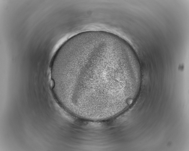 X0000089971509200707201959