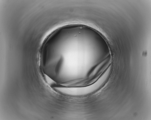 X0000089971510200707201959