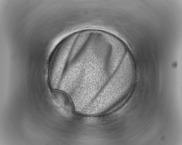 X0000089971511200707201959