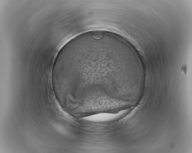 X0000089971513200707201959