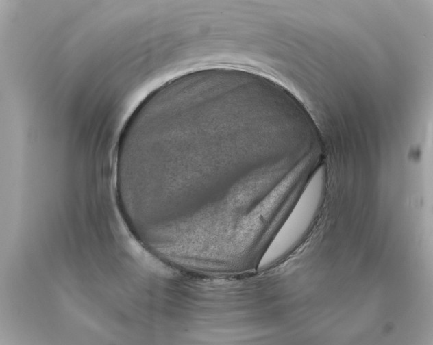 X0000089971515200707201959