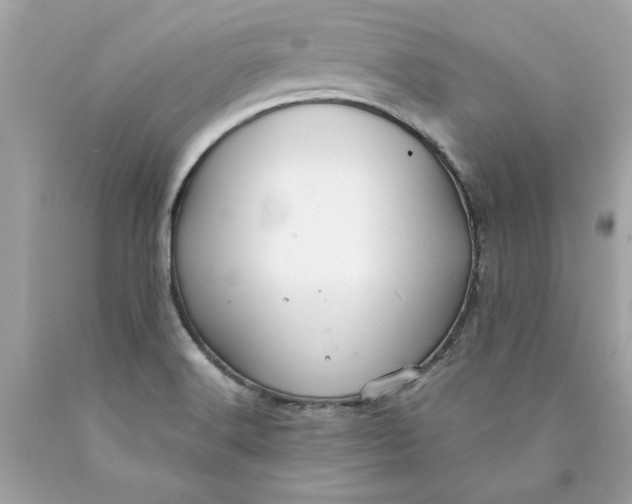 X0000089971516200707201959