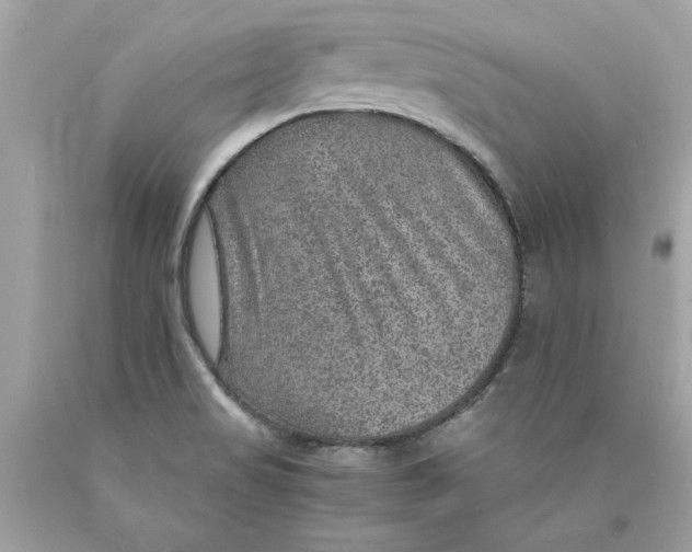 X0000089971517200707201959