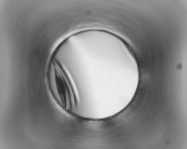 X0000089971518200707201959