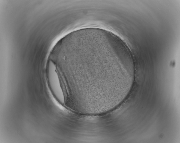 X0000089971519200707201959