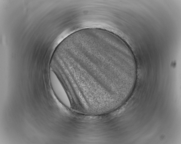 X0000089971521200707201959