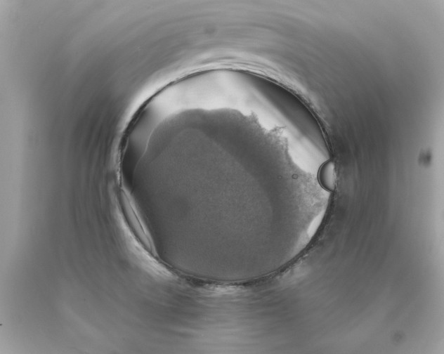 X0000089971522200707201959