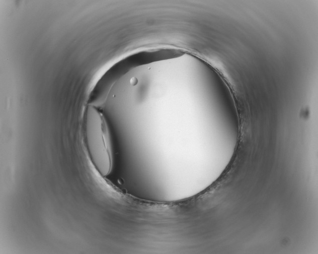 X0000089971524200707201959