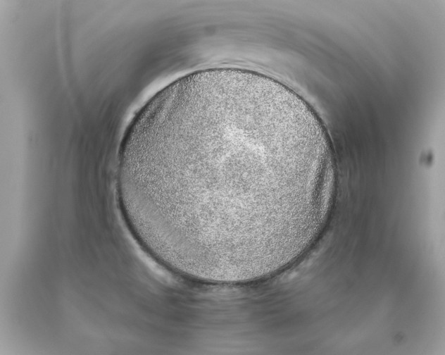 X0000089971525200707202000