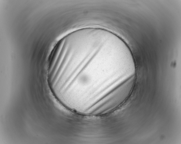 X0000089971526200707202000