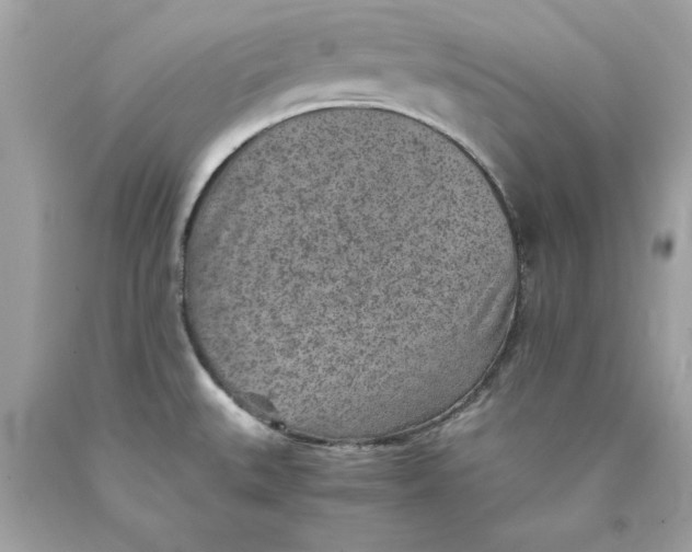 X0000089971527200707202000