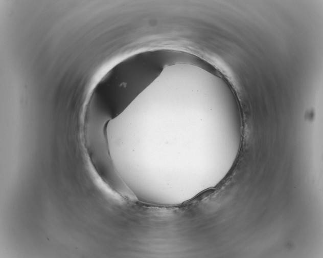 X0000089971528200707202000