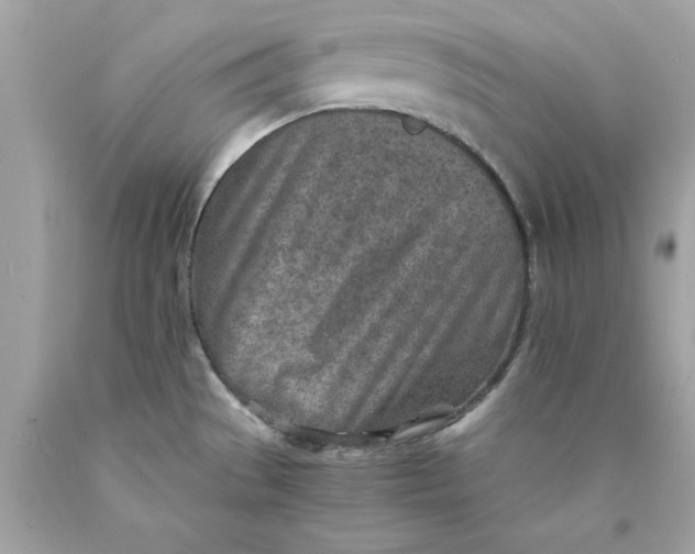 X0000089971529200707202000