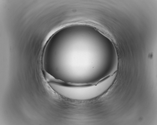 X0000089971530200707202000