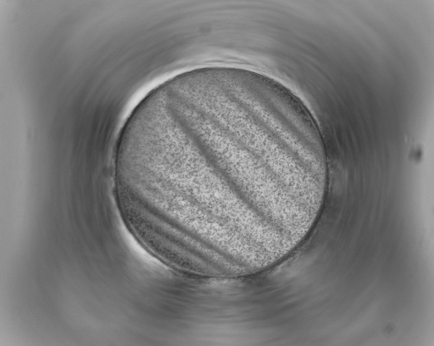 X0000089971531200707202000