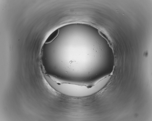 X0000089971532200707202000