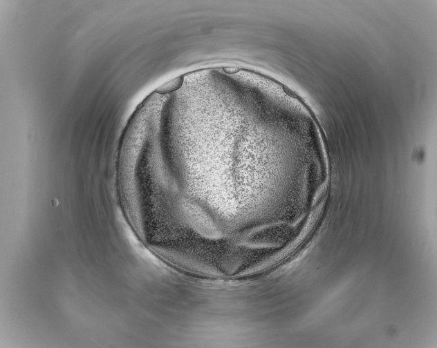 X0000089971534200707202000