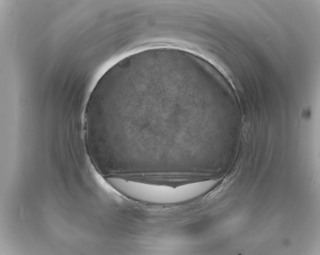 X0000089971535200707202000