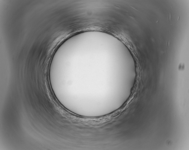 X0000089970001200707271931