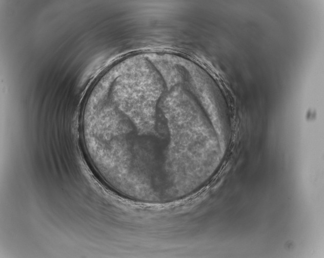 X0000089970002200707271931