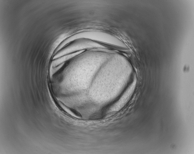 X0000089970003200707271931