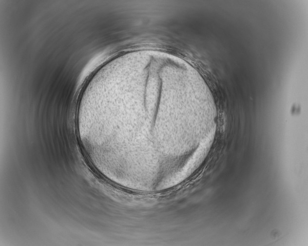 X0000089970004200707271931