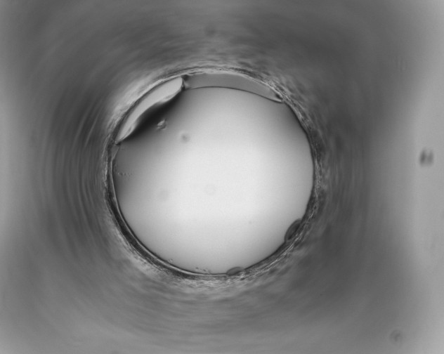 X0000089970005200707271931