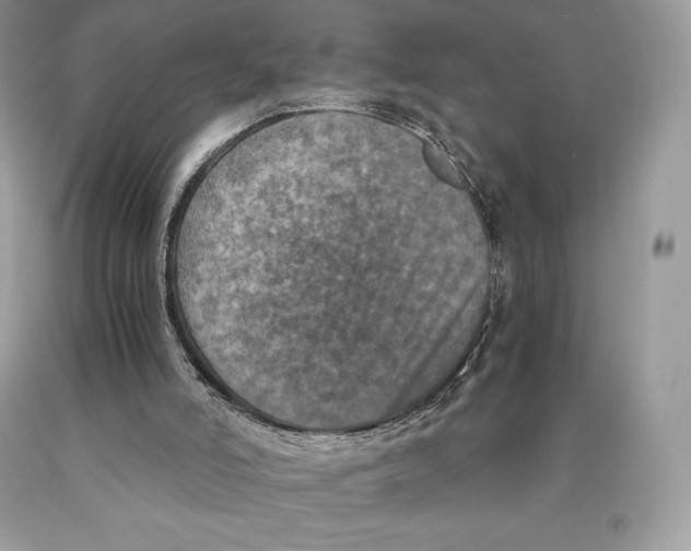 X0000089970006200707271931