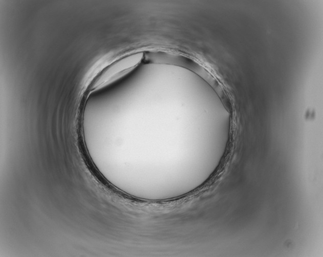 X0000089970007200707271931