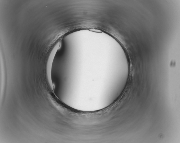 X0000089970013200707271931