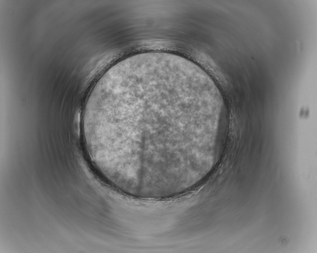 X0000089970014200707271931