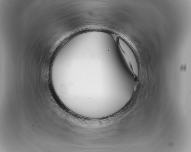 X0000089970015200707271931