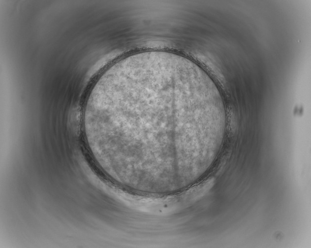 X0000089970016200707271931