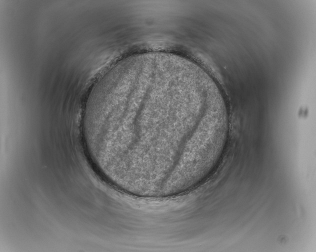 X0000089970018200707271931