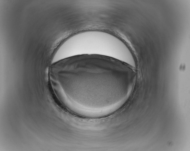 X0000089970019200707271931